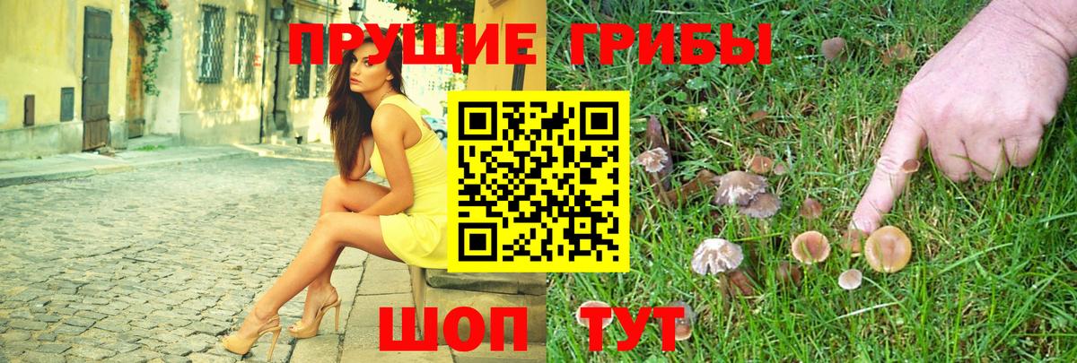 Пыть-Ях  купить   Вход с VPN  Псилоцибиновые грибы Magic Shrooms 